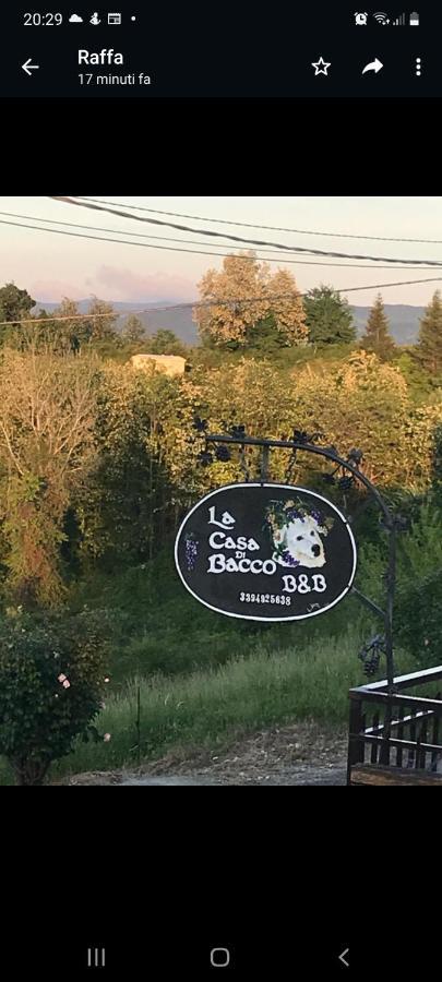 La Casa Di Bacco B&B Lerma Dış mekan fotoğraf