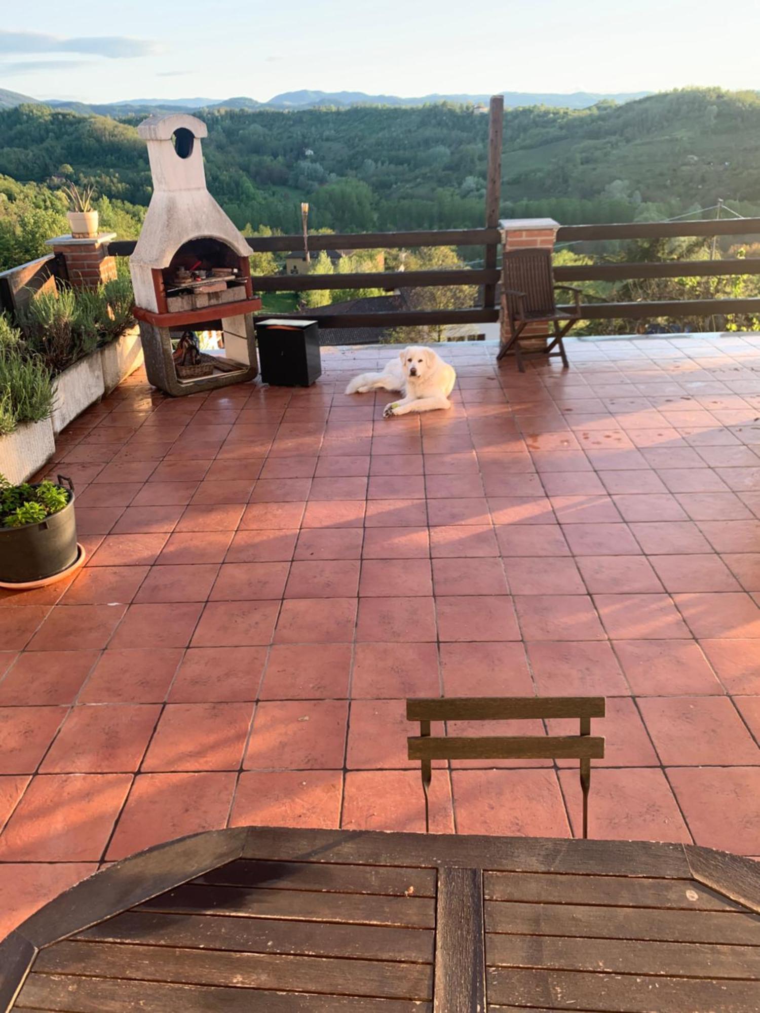 La Casa Di Bacco B&B Lerma Dış mekan fotoğraf