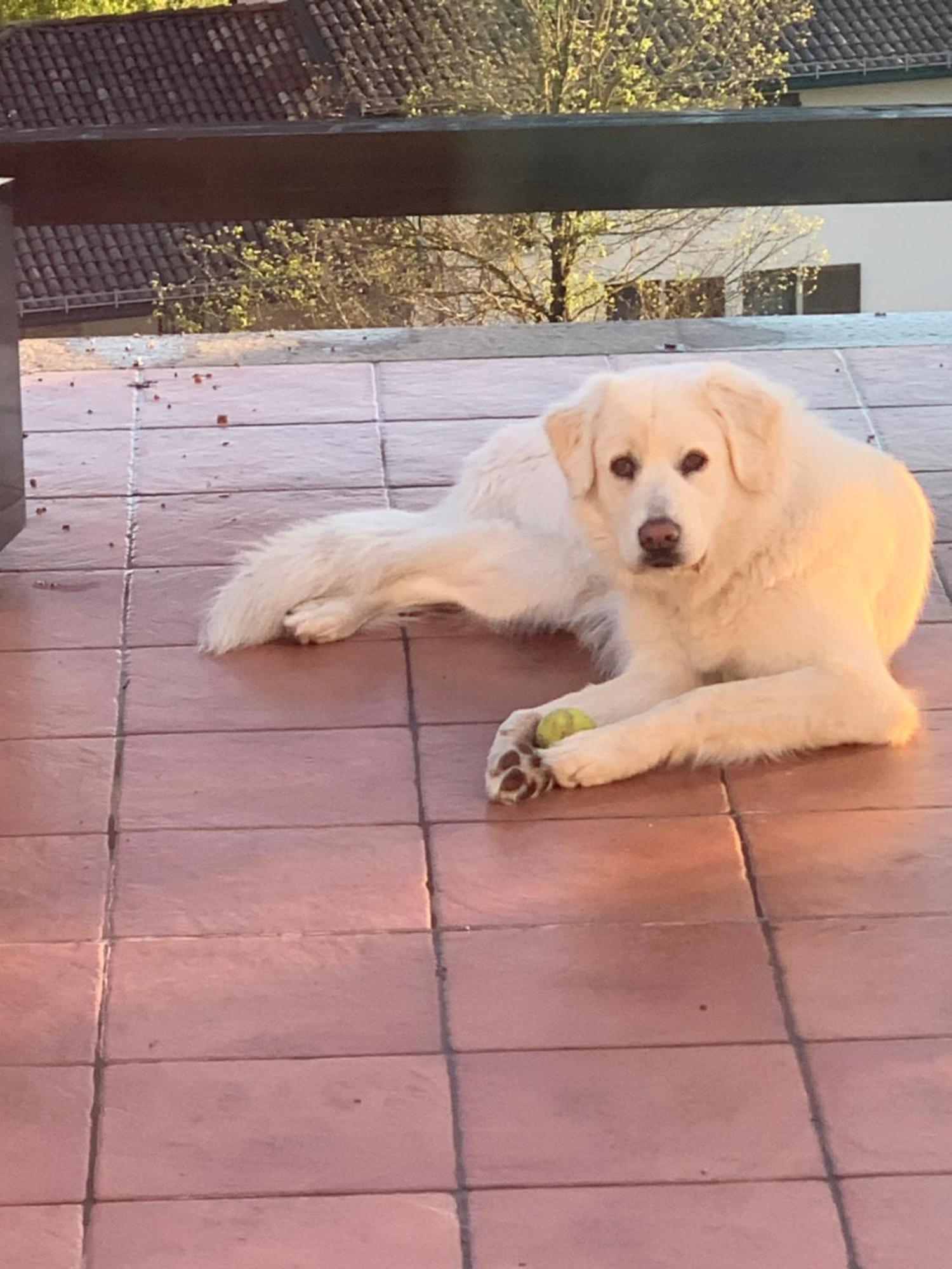 La Casa Di Bacco B&B Lerma Dış mekan fotoğraf